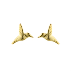 Kolibri fugle øreringe guld